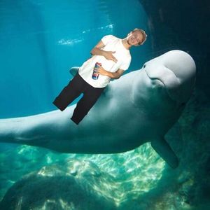 Meet your Posher, Jordan